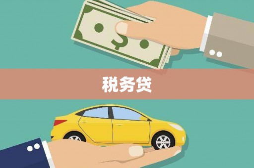 武安税务贷