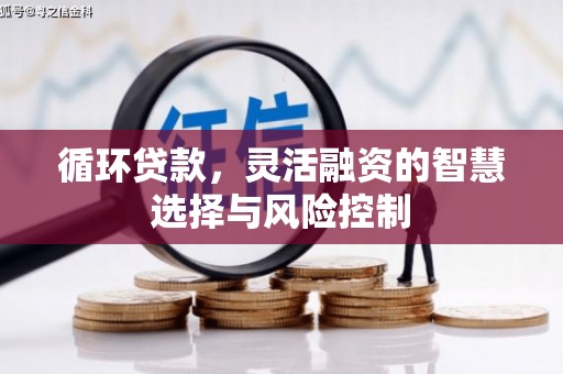 武安循环贷款，灵活融资的智慧选择与风险控制