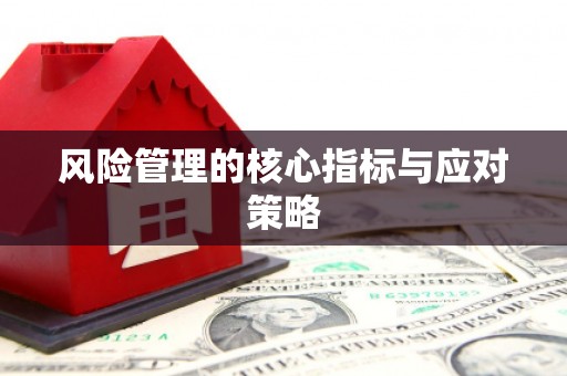 武安风险管理的核心指标与应对策略