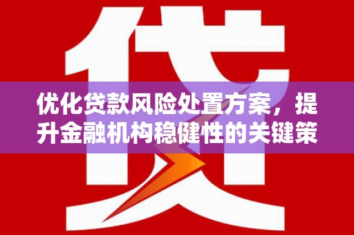 武安优化贷款风险处置方案，提升金融机构稳健性的关键策略