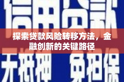 武安探索贷款风险转移方法，金融创新的关键路径
