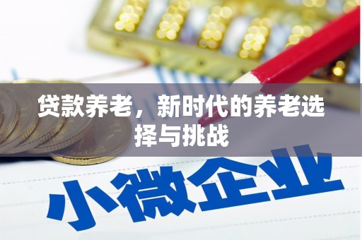 武安贷款养老，新时代的养老选择与挑战