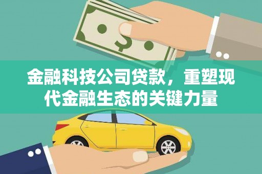 武安金融科技公司贷款，重塑现代金融生态的关键力量