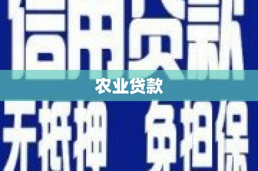 武安农业贷款