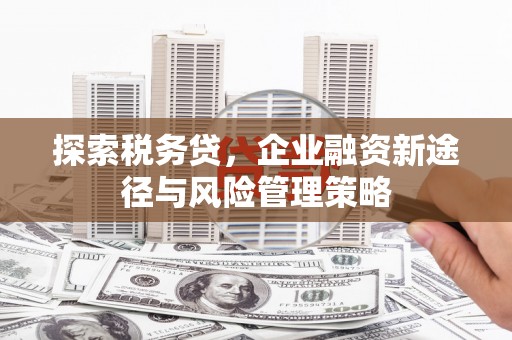 武安探索税务贷，企业融资新途径与风险管理策略