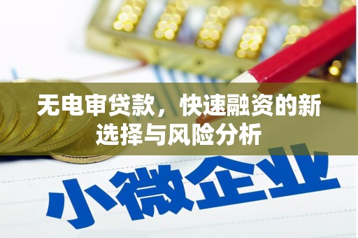 武安无电审贷款，快速融资的新选择与风险分析