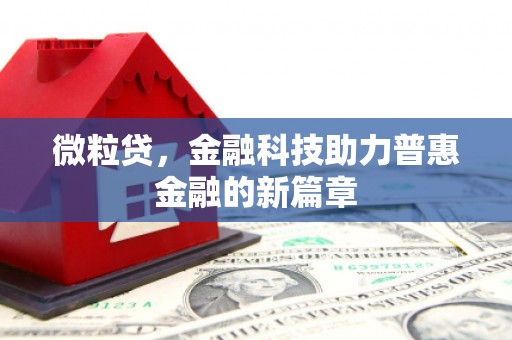 武安微粒贷，金融科技助力普惠金融的新篇章