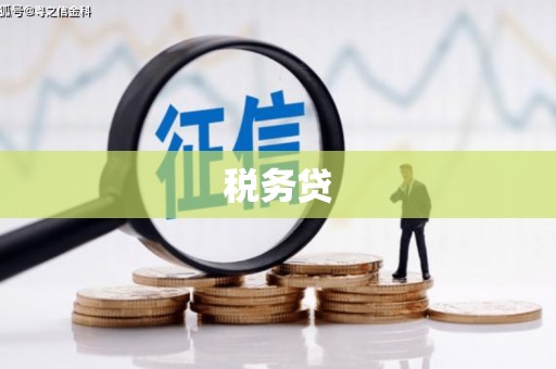武安税务贷