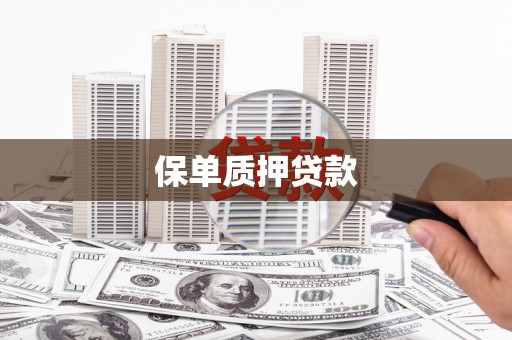 武安保单质押贷款