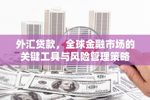 武安外汇贷款，全球金融市场的关键工具与风险管理策略