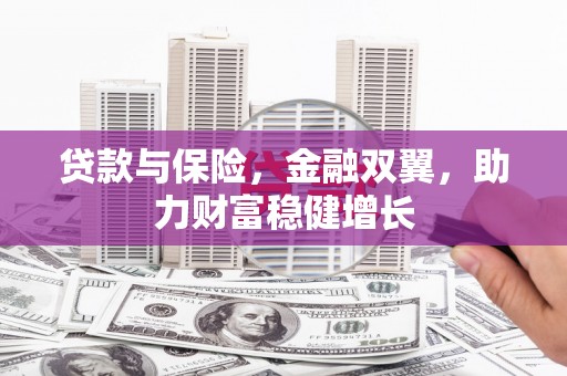 武安贷款与保险，金融双翼，助力财富稳健增长