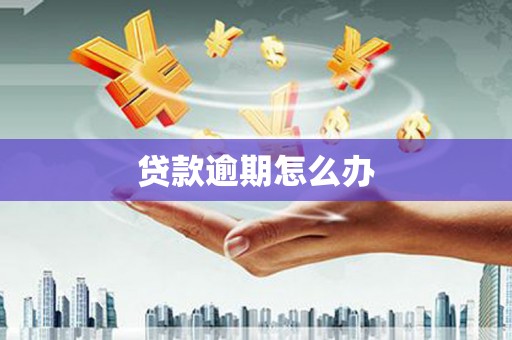 武安贷款逾期怎么办