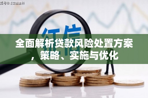 武安全面解析贷款风险处置方案，策略、实施与优化