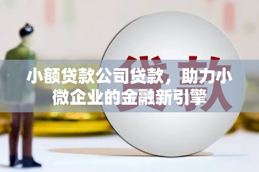 武安小额贷款公司贷款，助力小微企业的金融新引擎