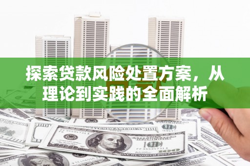 武安探索贷款风险处置方案，从理论到实践的全面解析