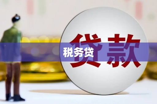 武安税务贷