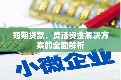 武安短期贷款，灵活资金解决方案的全面解析