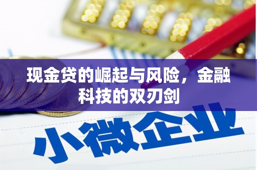 武安现金贷的崛起与风险，金融科技的双刃剑