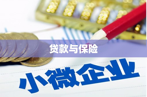 武安贷款与保险