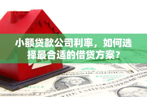 武安小额贷款公司利率，如何选择最合适的借贷方案？