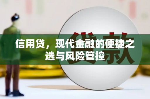 武安信用贷，现代金融的便捷之选与风险管控