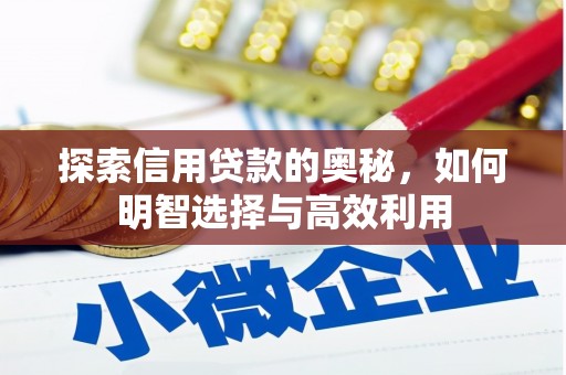 武安探索信用贷款的奥秘，如何明智选择与高效利用