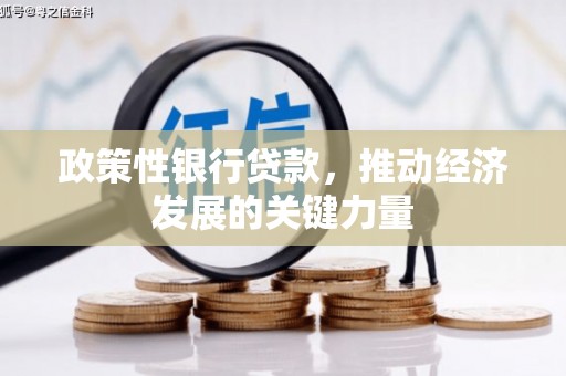 武安政策性银行贷款，推动经济发展的关键力量