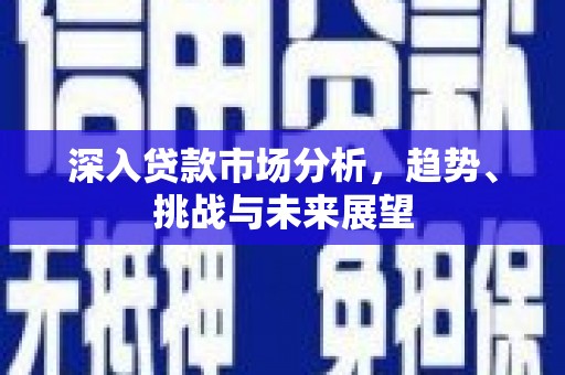 武安深入贷款市场分析，趋势、挑战与未来展望