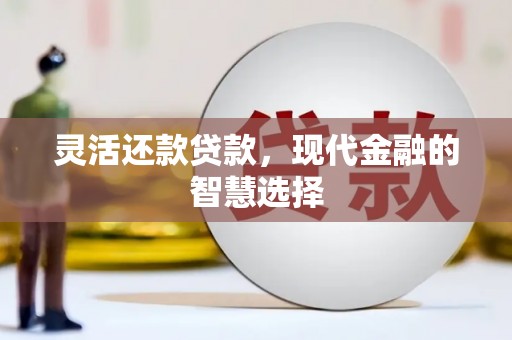 武安灵活还款贷款，现代金融的智慧选择