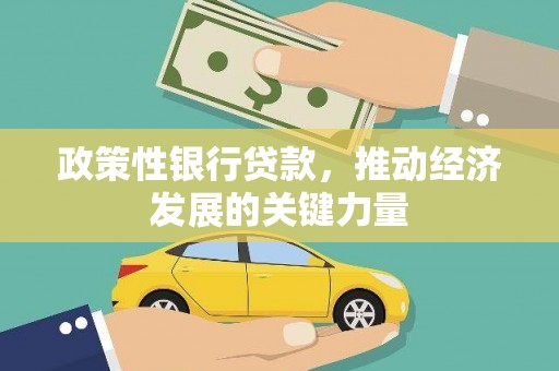 武安政策性银行贷款，推动经济发展的关键力量