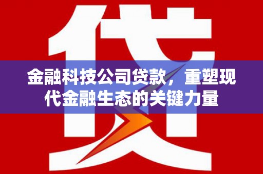 武安金融科技公司贷款，重塑现代金融生态的关键力量