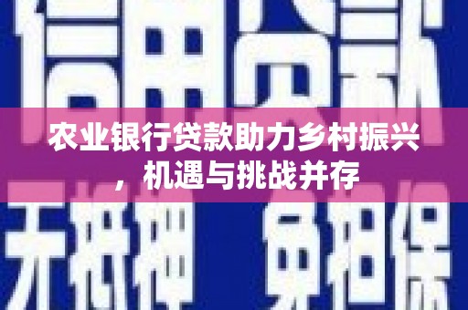 武安农业银行贷款助力乡村振兴，机遇与挑战并存
