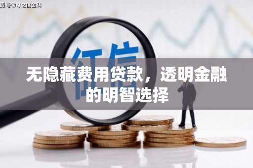 武安无隐藏费用贷款，透明金融的明智选择