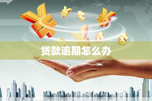 武安贷款逾期怎么办
