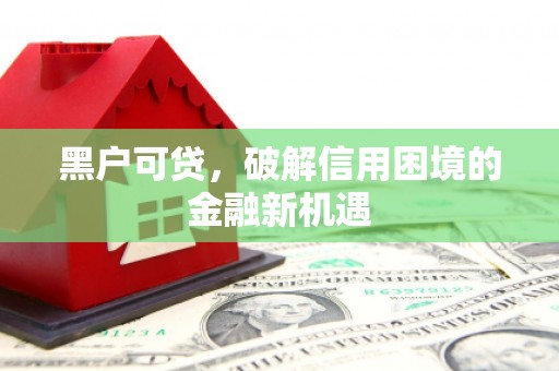 武安黑户可贷，破解信用困境的金融新机遇