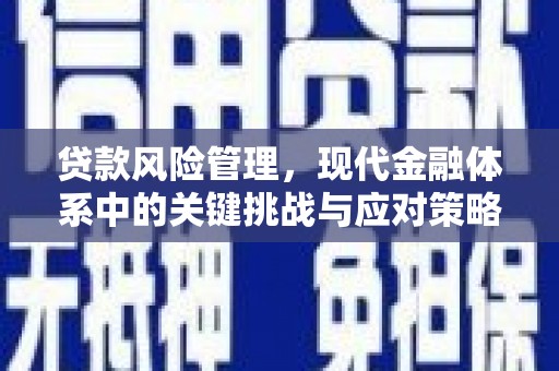 武安贷款风险管理，现代金融体系中的关键挑战与应对策略