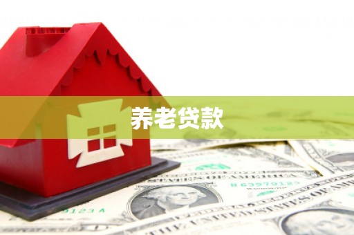 武安养老贷款