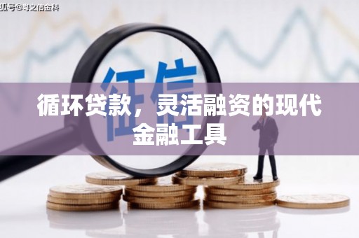 武安循环贷款，灵活融资的现代金融工具