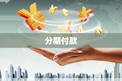 武安分期付款