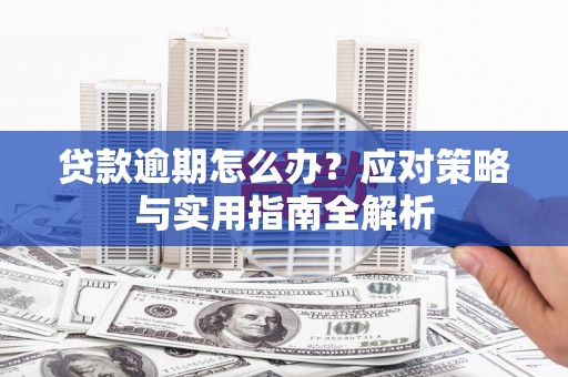武安贷款逾期怎么办？应对策略与实用指南全解析