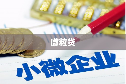 武安微粒贷