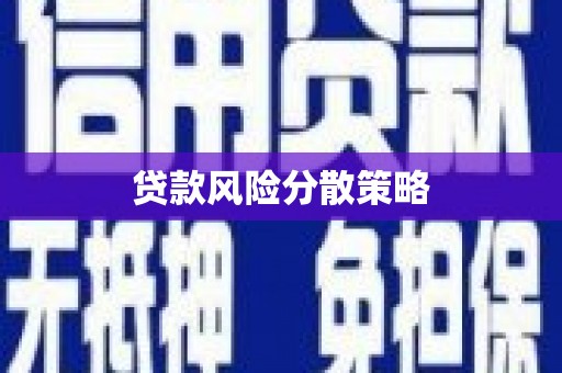 武安贷款风险分散策略