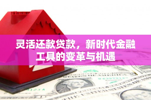 武安灵活还款贷款，新时代金融工具的变革与机遇