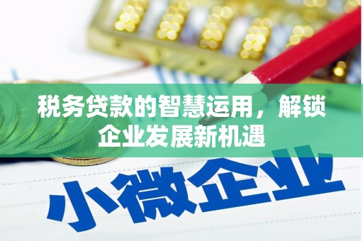 武安税务贷款的智慧运用，解锁企业发展新机遇