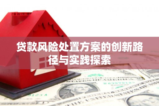 武安贷款风险处置方案的创新路径与实践探索