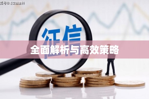 武安全面解析与高效策略