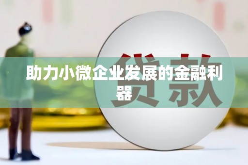 武安助力小微企业发展的金融利器