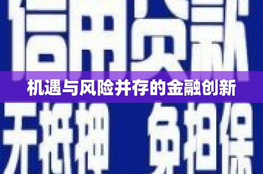 武安机遇与风险并存的金融创新
