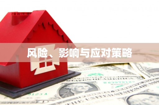 武安风险、影响与应对策略