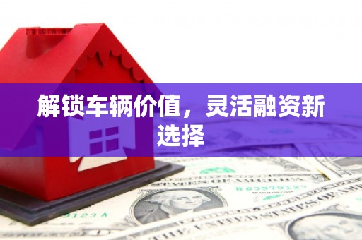 武安解锁车辆价值，灵活融资新选择